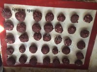自制红豆沙冰皮月饼做法图解6)