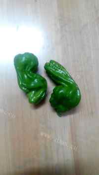 家常菜肉片炒山药做法图解1)