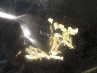 简单的家常豆腐做法图解5)
