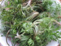 香气浓郁的白蒿鸡蛋饼做法图解1)