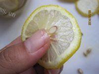 酸甜的柠檬蜂蜜茶做法图解10)