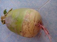 DIY西兰花圣诞树做法图解1)