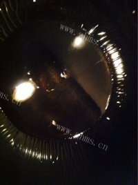 美味的萝卜丝鲫鱼汤做法图解4)