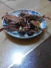 美味的清蒸蟹