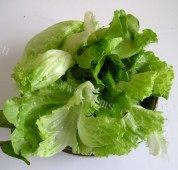 美味的浇汁牛肉黄豆面做法图解7)
