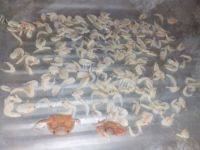 很棒的调味料自制虾粉做法图解5)