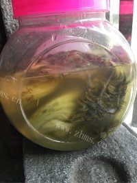 自制酸菜做法图解2)