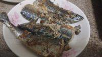 家常菜香煎马鲛鱼做法图解3)
