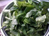 色味俱佳的蚝油菜心做法图解1)