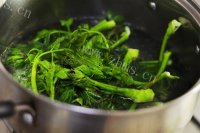 刺老芽炒肉丝做法图解4)