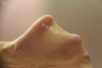 自制抹茶双色吐司做法图解13)