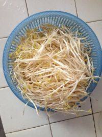 家常菜炒绿豆芽做法图解1)