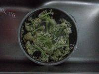 家常菜花菜炒肉片做法图解3)