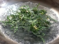 美味的蒲公英拌番茄做法图解2)
