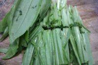 家常菜蒜蓉油麦菜做法图解1)