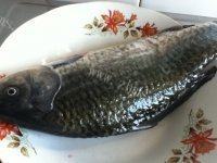 鲫鱼烧豆腐做法图解1)
