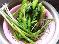 芹菜猪肉饺子（懒人版）做法图解1)