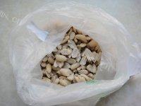 味道不错的酒鬼花生做法图解4)