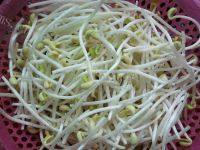 家常菜芹菜炒豆芽做法图解1)