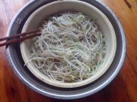 营养丰富的凉拌绿豆芽做法图解6)