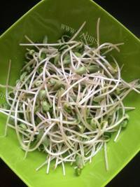 家常菜肉丝炒豆芽做法图解1)