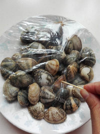好吃的微波蛤蜊做法图解4)