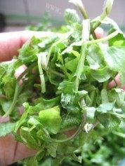 荠菜鲜肉馄饨做法图解1)