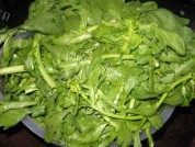 家常菜蒜蓉炒茼蒿菜做法图解1)