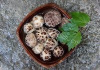 自己做的香菇炖鸡汤做法图解1)