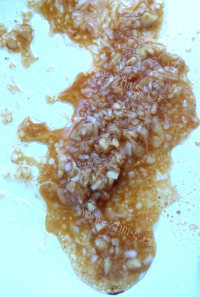 美味芙蓉蟹斗做法图解5)