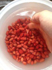 很有食欲的咸香花生米做法图解1)
