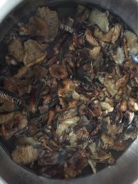 好吃的小鸡炖蘑菇做法图解2)