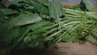 家常菜素炒菠菜做法图解1)