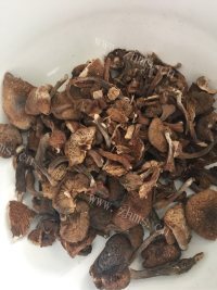 口感丰富的小鸡蘑菇炖粉条做法图解1)