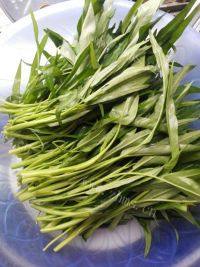 家常菜蒜蓉通心菜做法图解2)