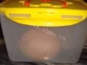 双色吐司做法图解5)