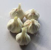 自制糖醋蒜做法图解2)