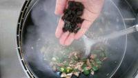简单小炒肉做法图解5)