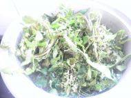 色香的荠菜饺子做法图解2)