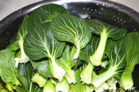 香菇青菜做法图解1)