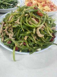 家常版蒜苔炒肉丝