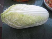 家常菜清炒大白菜做法图解1)