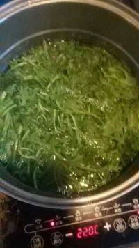 家常菜凉拌茼蒿做法图解2)