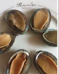 「健康美食」粉丝蒜蓉鲍鱼做法图解5)