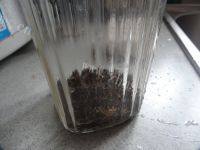 自己做的奶茶做法图解6)