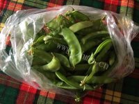 色香味浓的鱿鱼炒荷兰豆做法图解1)