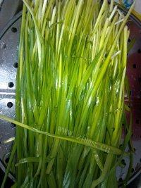 口感好的韭菜鸡蛋馅饼做法图解2)