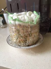 简单的淋豆芽做法图解6)