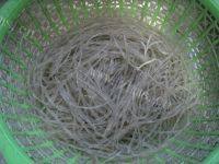 家常菜青菜粉丝汤做法图解1)