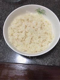 简易的酒酿做法图解4)